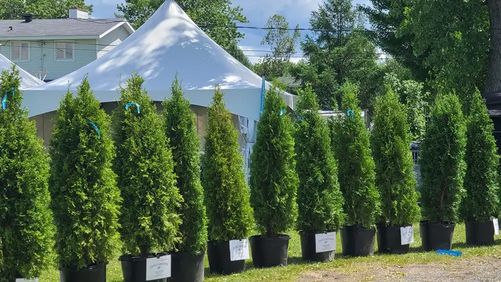 Les cèdres Clovis aux festivités Bières, vins & terroir