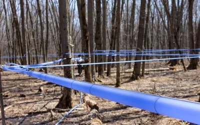 Ouverture de point de dépôt de tubulure acéricole.